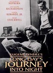 Long Day's Journey into Night