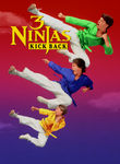 3 Ninjas: Kick Back