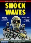 Shock Waves