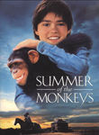 Summer of the Monkeys