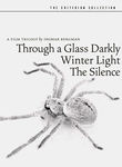 Through a Glass Darkly