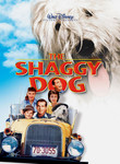 The Shaggy Dog