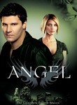 Angel: Season 4 (6-Disc Series)