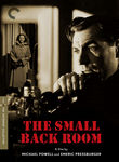 Small Back Room poster
