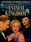 The Animal Kingdom