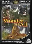 Wonder of it All poster
