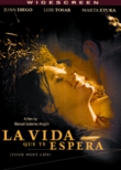 Cosas que hacen que la vida valga la pena poster