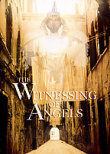 The Witnessing of Angels