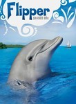Flipper: Original Series: Season 1 (4-Disc Series)