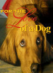 For the Love of a Dog