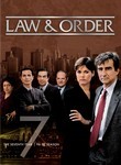 Law & Order: Season 7 (5-Disc Series)