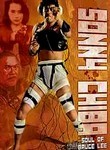 Soul of Bruce Lee