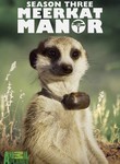 Meerkat Manor: Season 3