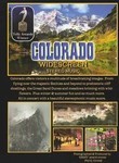 Colorado: The Beauty of It All
