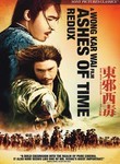 Ashes of Time Redux