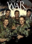 Lost at War