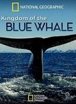 Kingdom of the Blue Whale