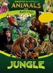 Discover the World of Animals: Jungle