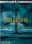 Crash of Flight 447: Nova
