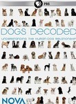 Dogs Decoded: Nova