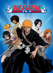 Bleach: Vol. 5: The Substitute