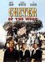Custer of the West