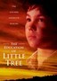 The Education of Little Tree