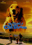 The Trial of Old Drum