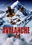 Avalanche: Nature Unleashed