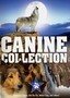 Mooch / Poco / My Dog Shep / Rin Tin Tin